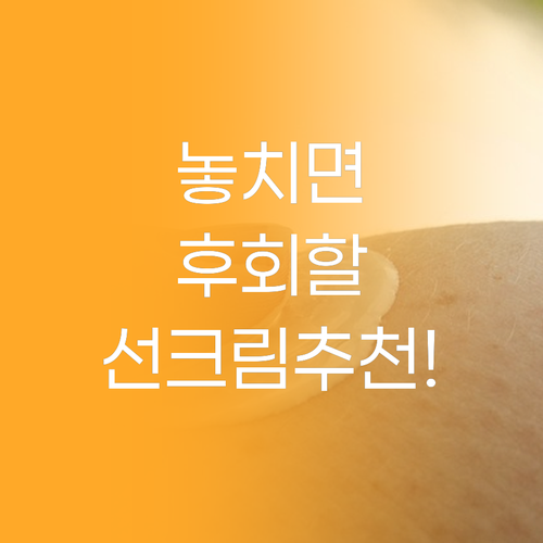 피부 타입별 선크림 추천 가성비부터 ..