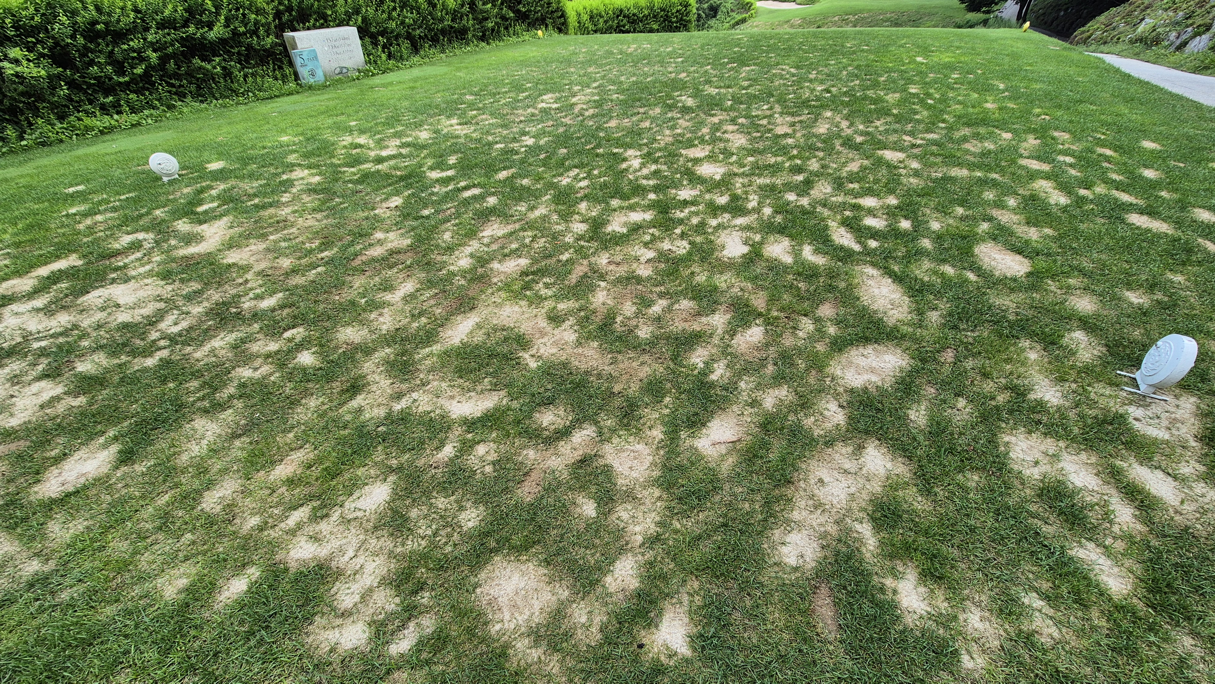 참밸리cc 라운드 후기