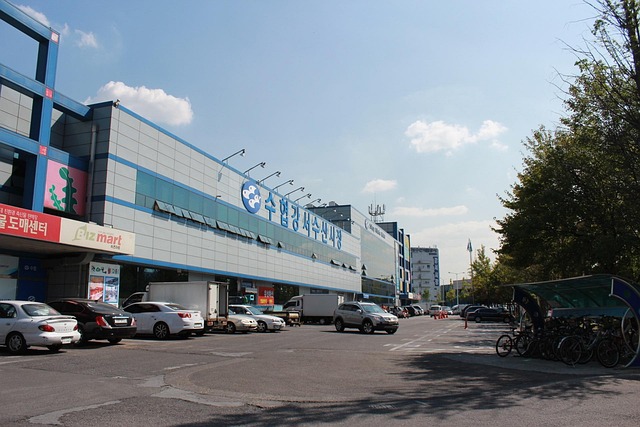 수협 조합원 가입 조건 혜택까지 총 정리