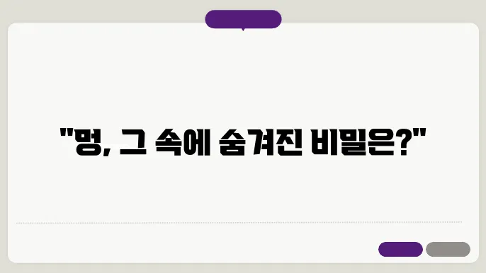 멍드는이유