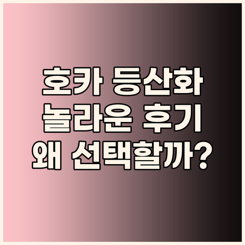 호카 등산화, 러닝화! 왜 다들 호카..