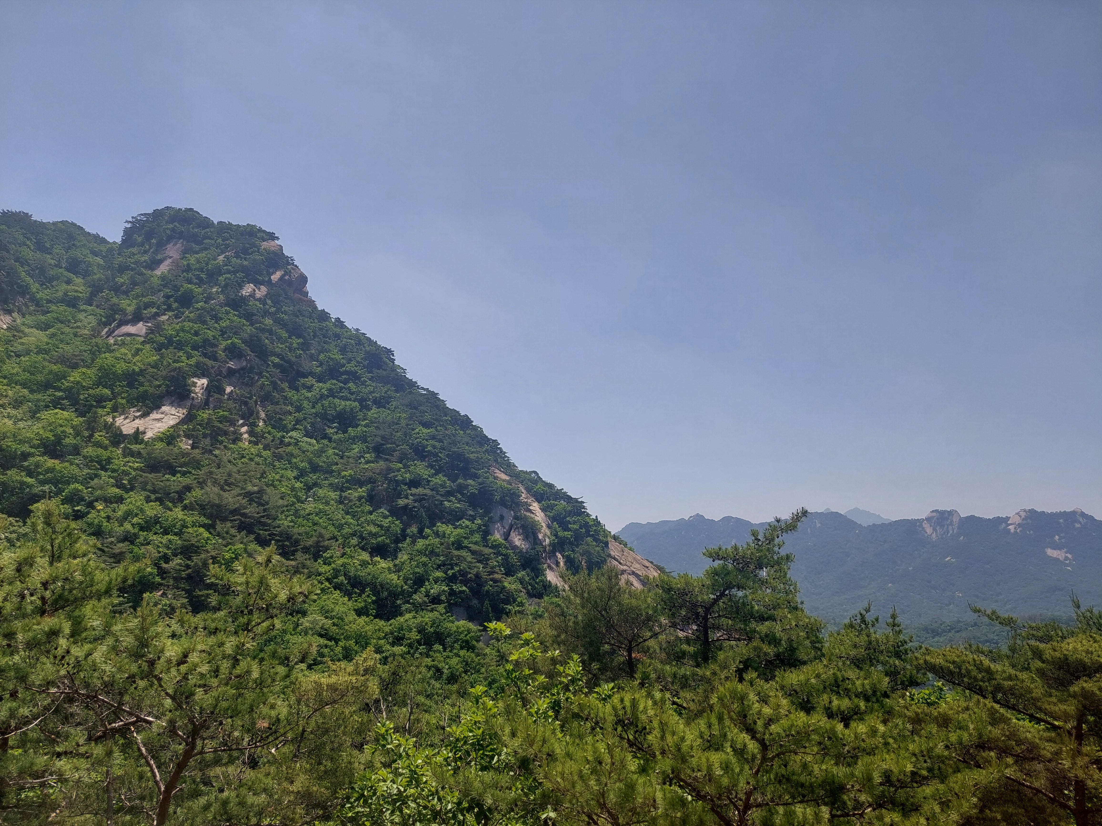 오봉