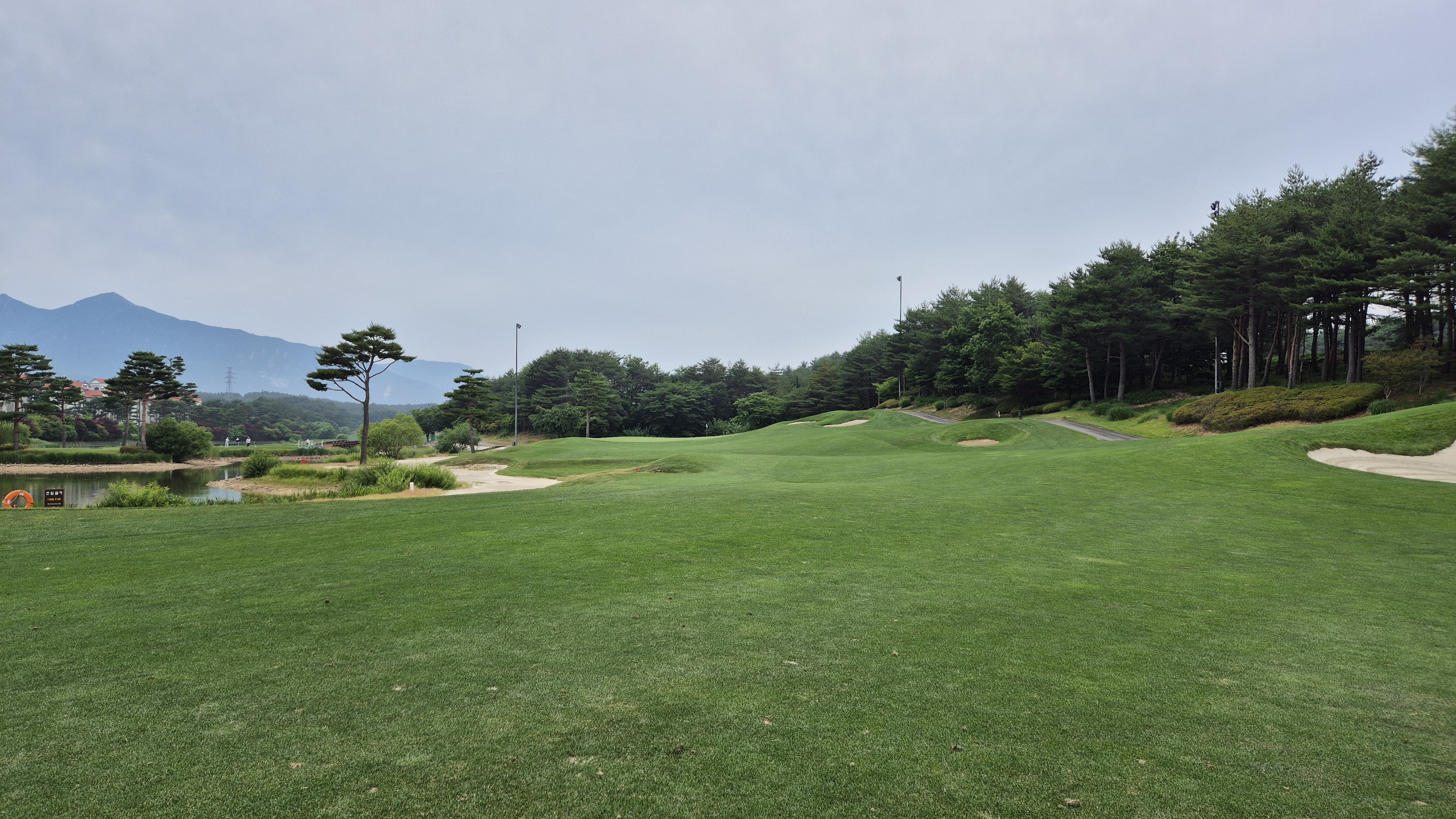 파인리즈cc 후기 및 코스사진