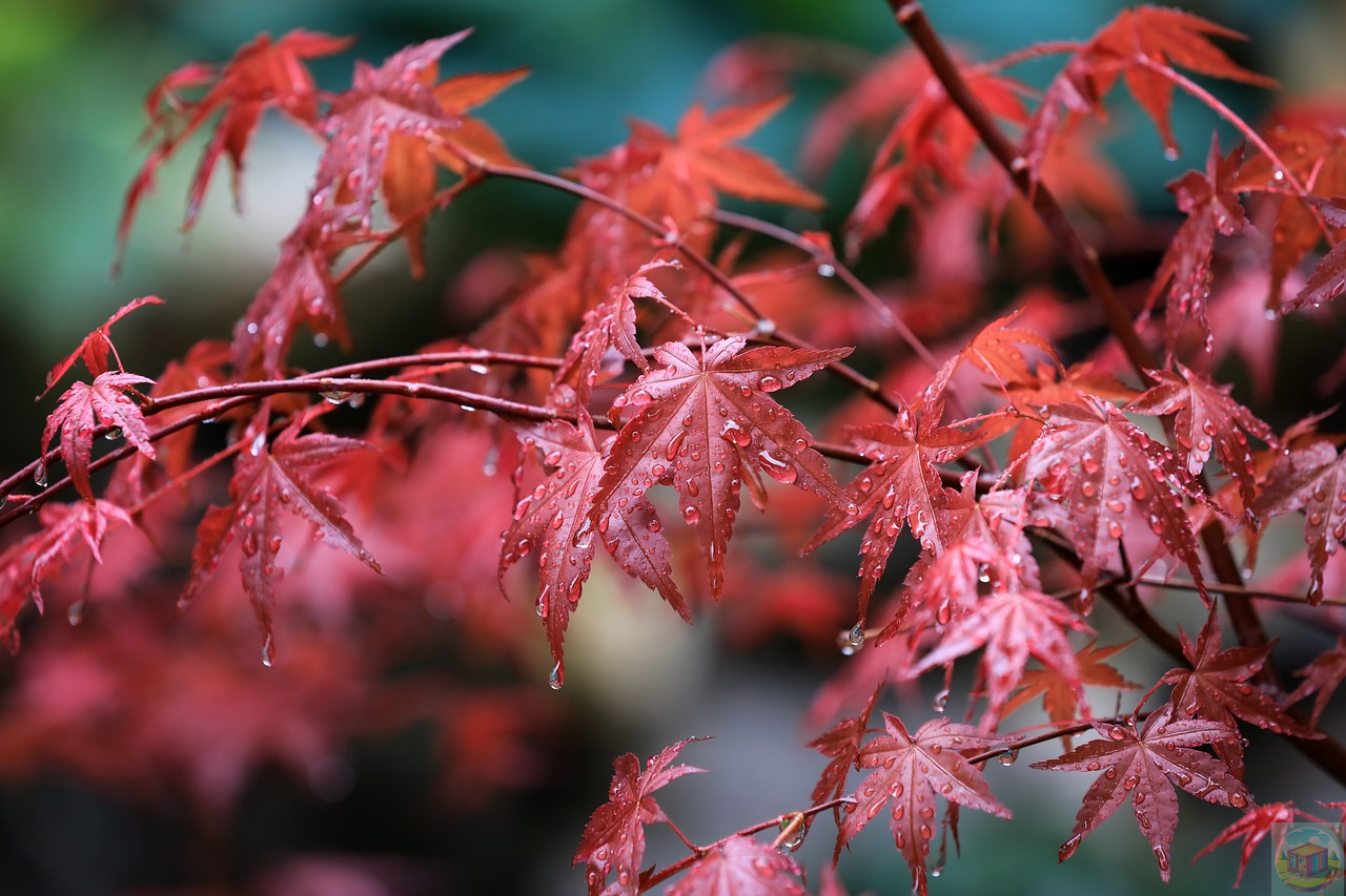 10월 국내여행지 추천 베스트 10