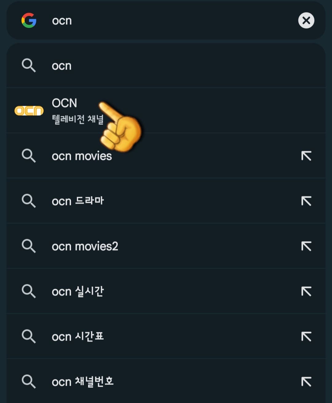 OCN-편성표-쉽게-확인하는-방법-안내-다음,-네이버,-구글-검색-창에서-OCN-검색하기