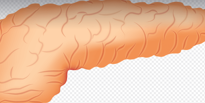 장에 좋은 음식 추천과 먹는 법 총정리