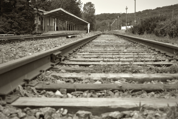 폐역 순례: 더 이상 기차가 서지 않는 간이역들의 풍경