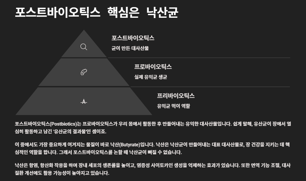 낙산균 효능부터 프로바이오틱스, 포스트바이오틱스까지 총정리 (장 건강 필수 가이드)