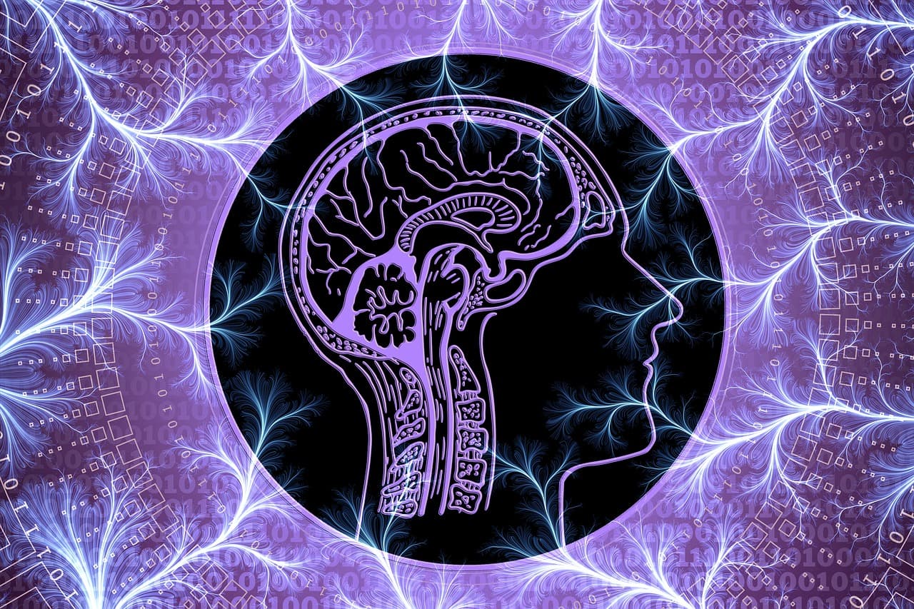 발작증상을 일으킬 수 있는 간질