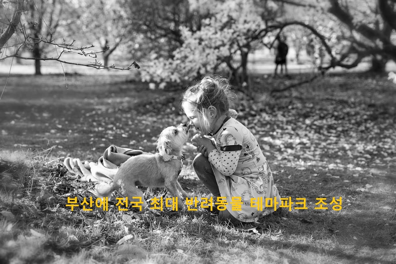 부산에 전국 최대 반려동물 테마파크 조성, '철마 반려문화공원’ 2027년 착공