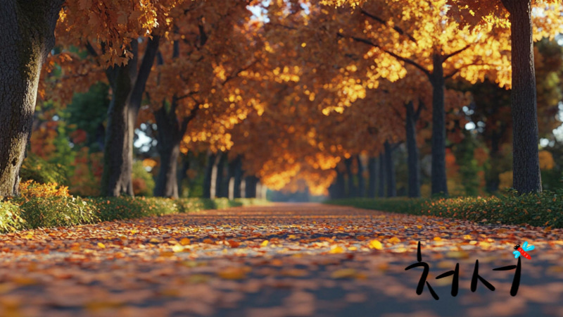 2025년 처서 날짜와 의미 정리