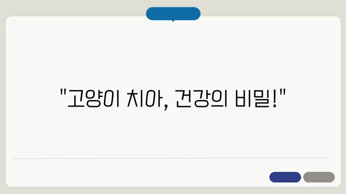 고양이 스케일링 필수인가? 완벽 치아 관리법 A to Z