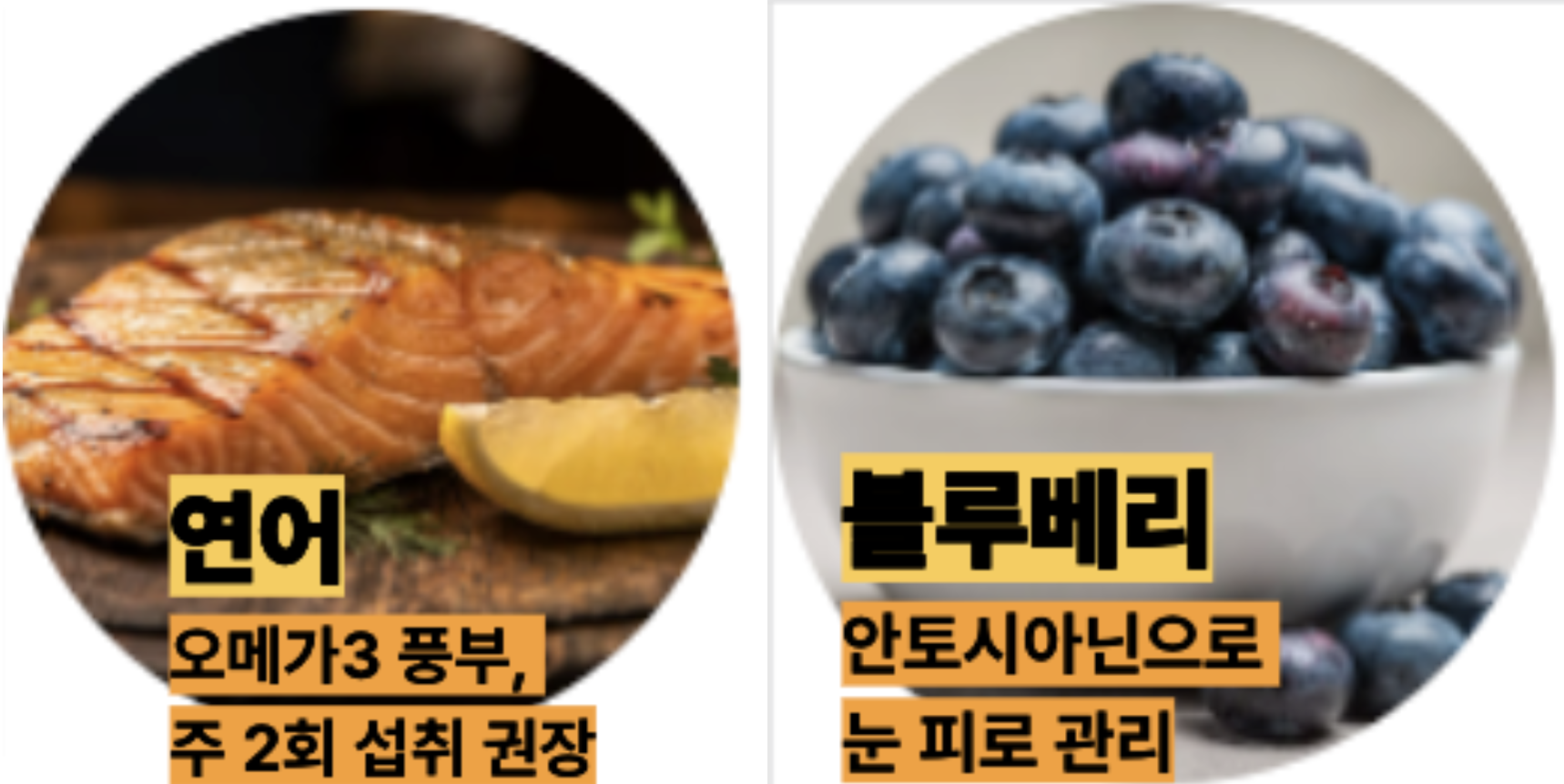 눈에 좋은 연어와 블루베리