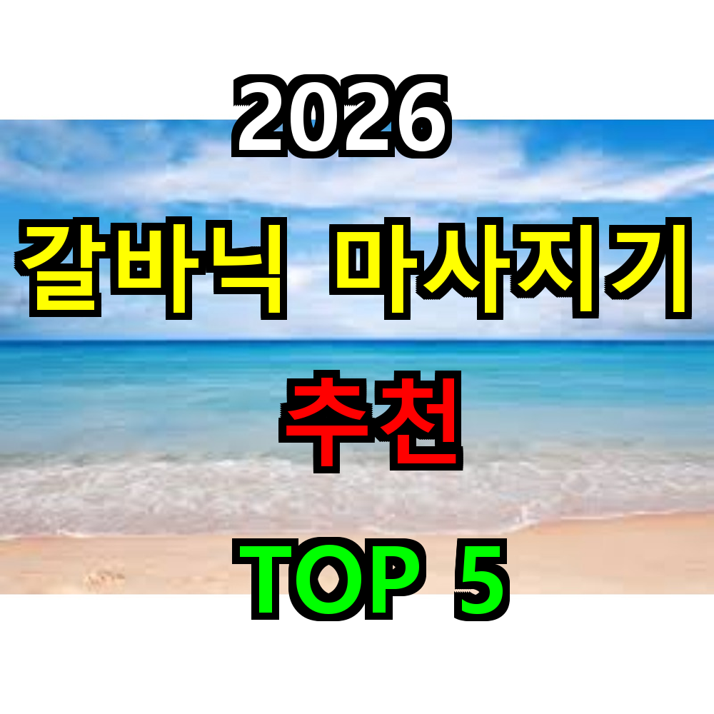 2026 갈바닉 마사지기 추천 TOP 5