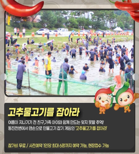 괴산 고추축제 고추물고기를 잡아라