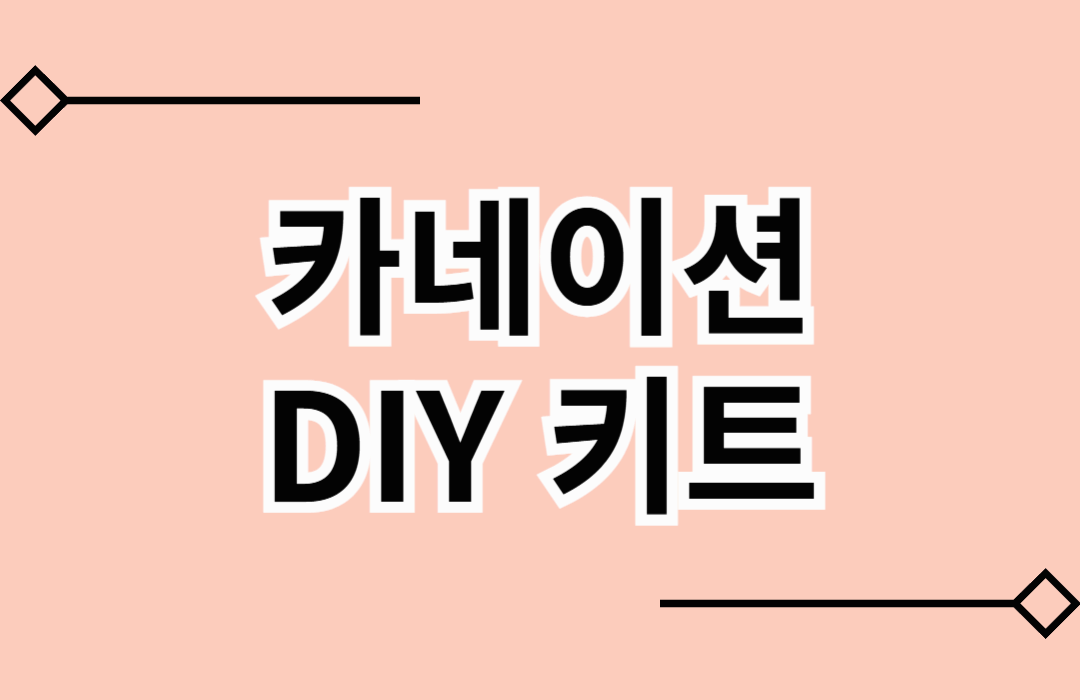 카네이션 DIY 키트 추천
