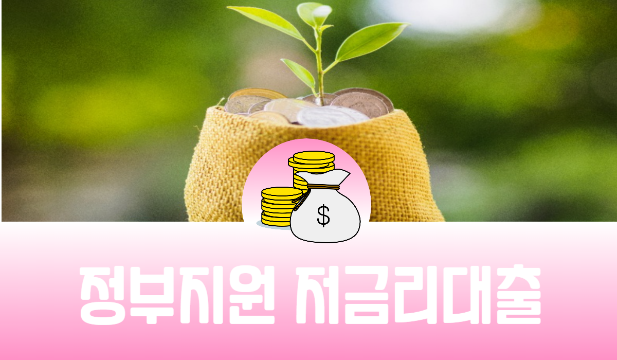 정부지원 저금리대출