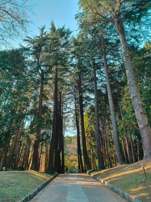 양산 숨은 명소 법기수원지, 1박 2일도 반한 꽃길과 숲길의 조화