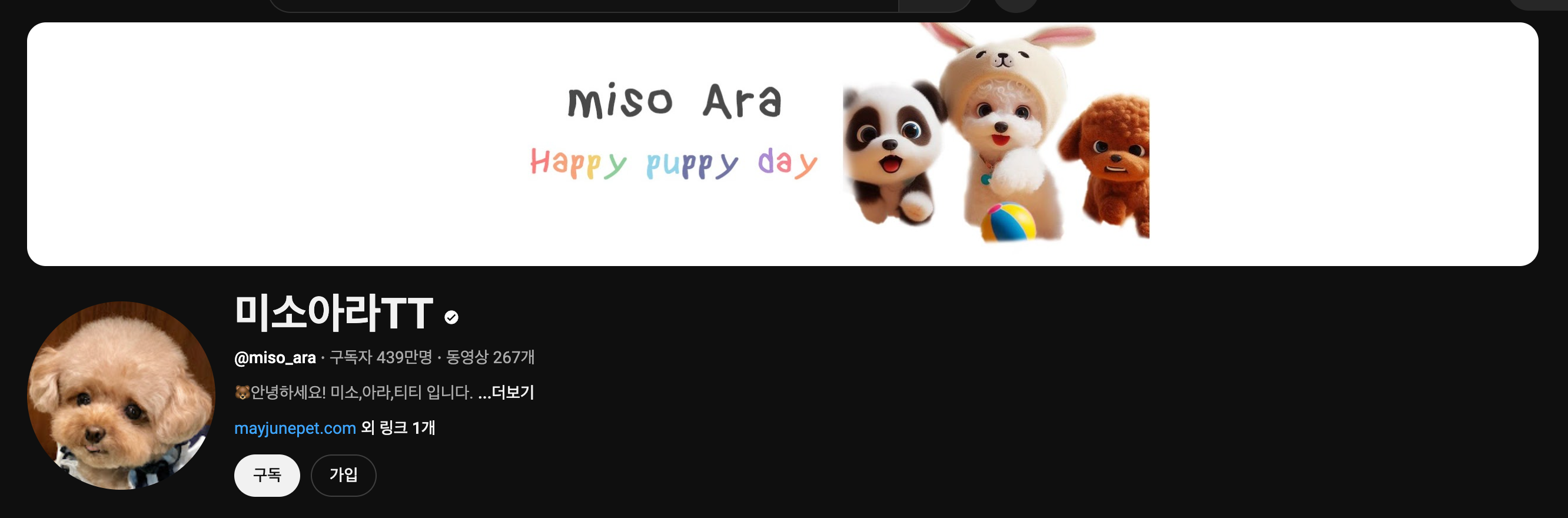 미소아라TT 유튜브