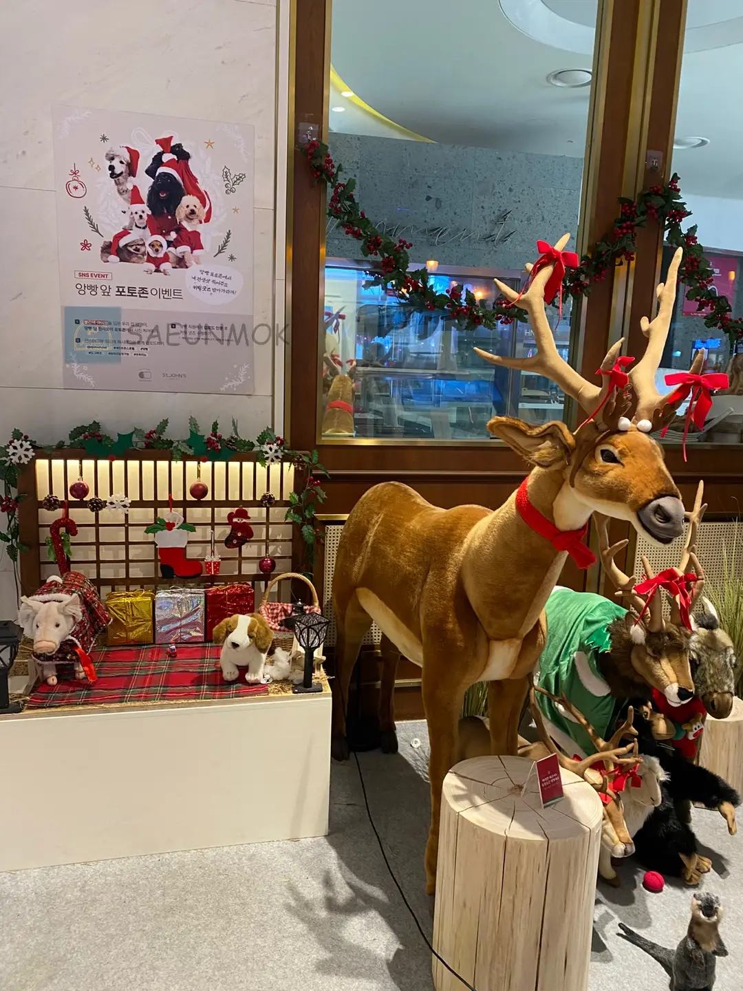 세인트존스-강릉-호텔-로비-반려동물-포토존