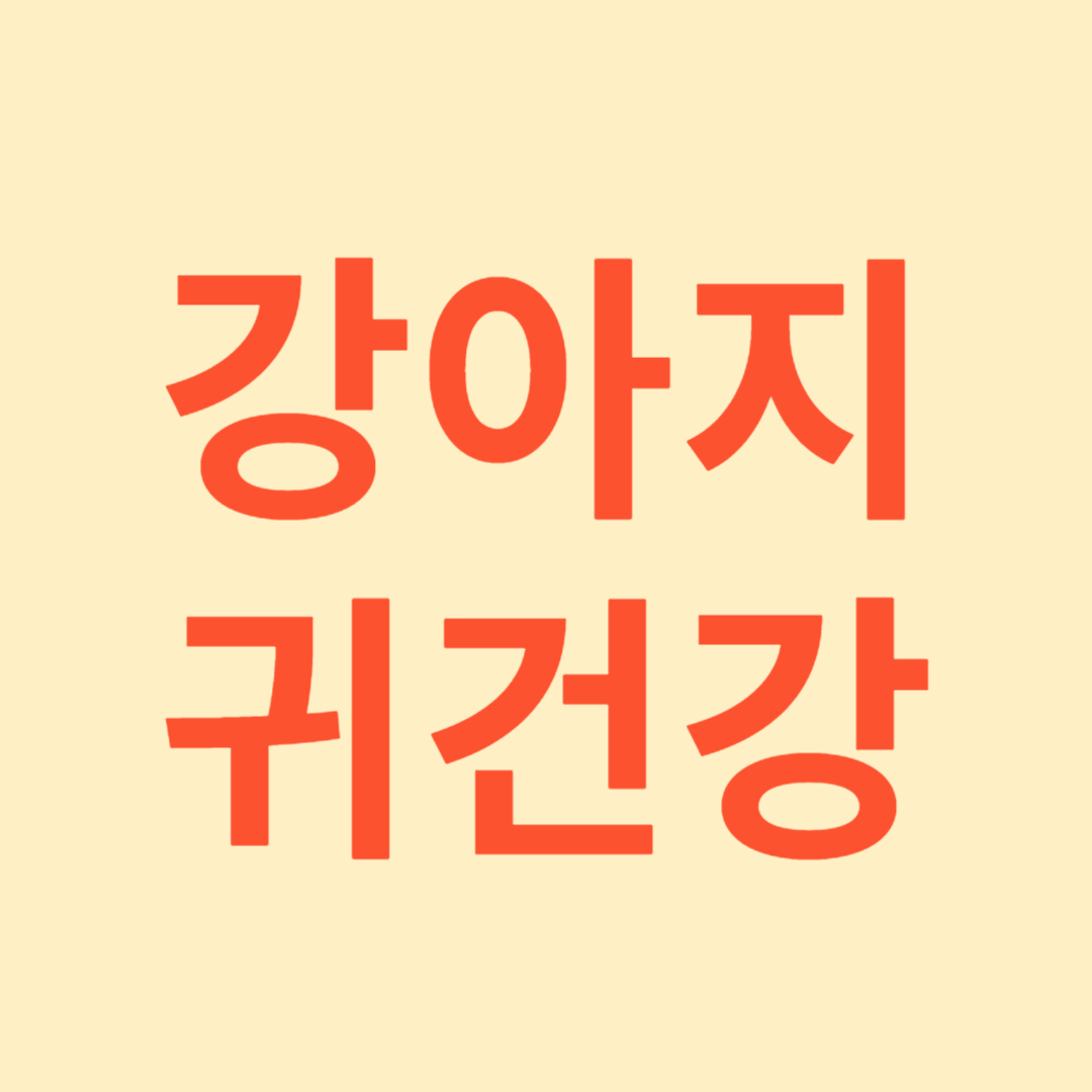 강아지 귀 건강