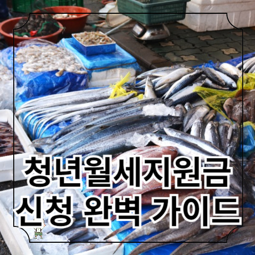 청년월세지원금 신청 완벽 가이드