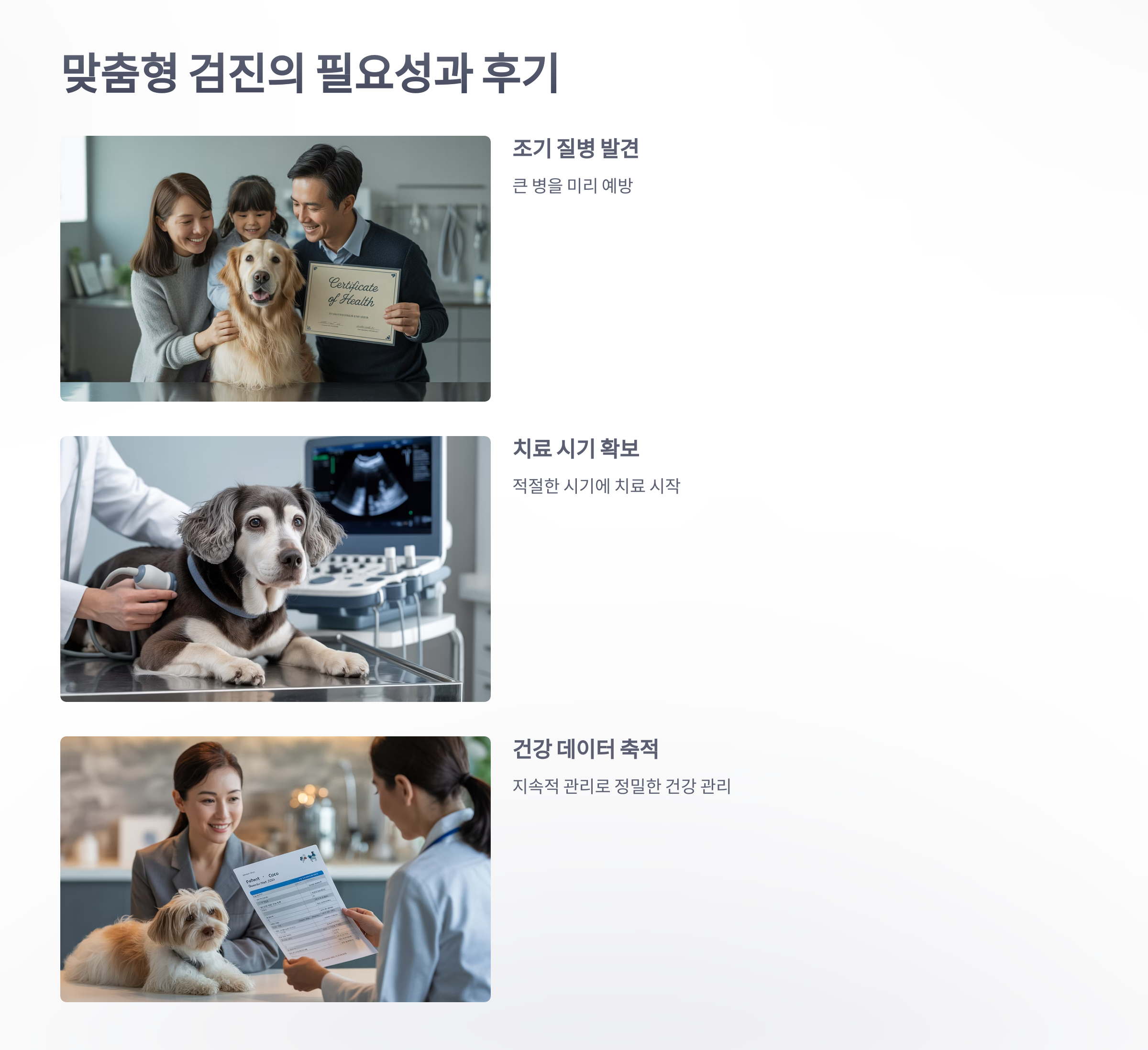 참조-맞춤형-검진,-동물병원-5