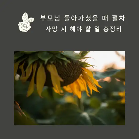 부모님 돌아가셨을 때 절차