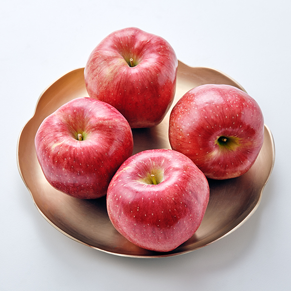 문경 사과 축제