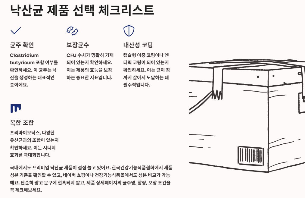 낙산균 효능, 유산균 차이, 프로바이오틱스 조합 총정리