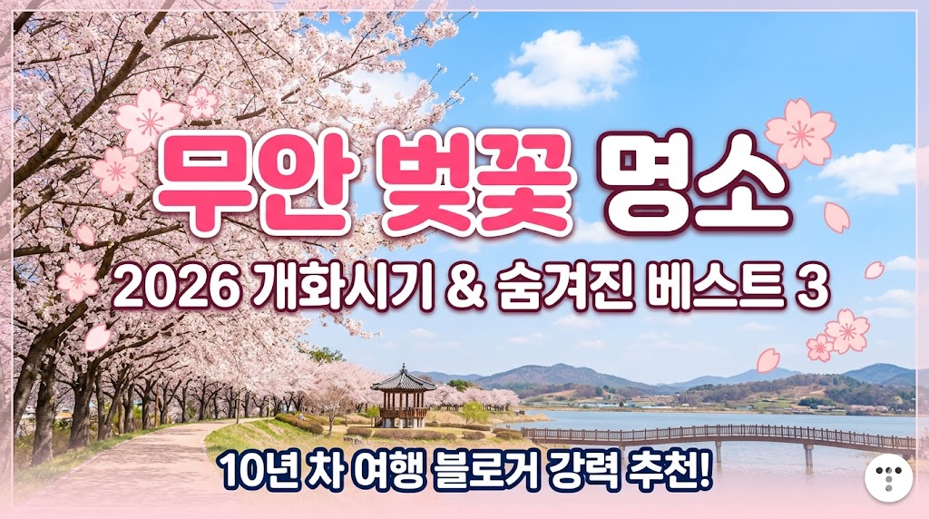 무안 벚꽃 명소