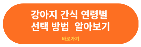 강아지 연령별 간식 선택 요령 바로가기