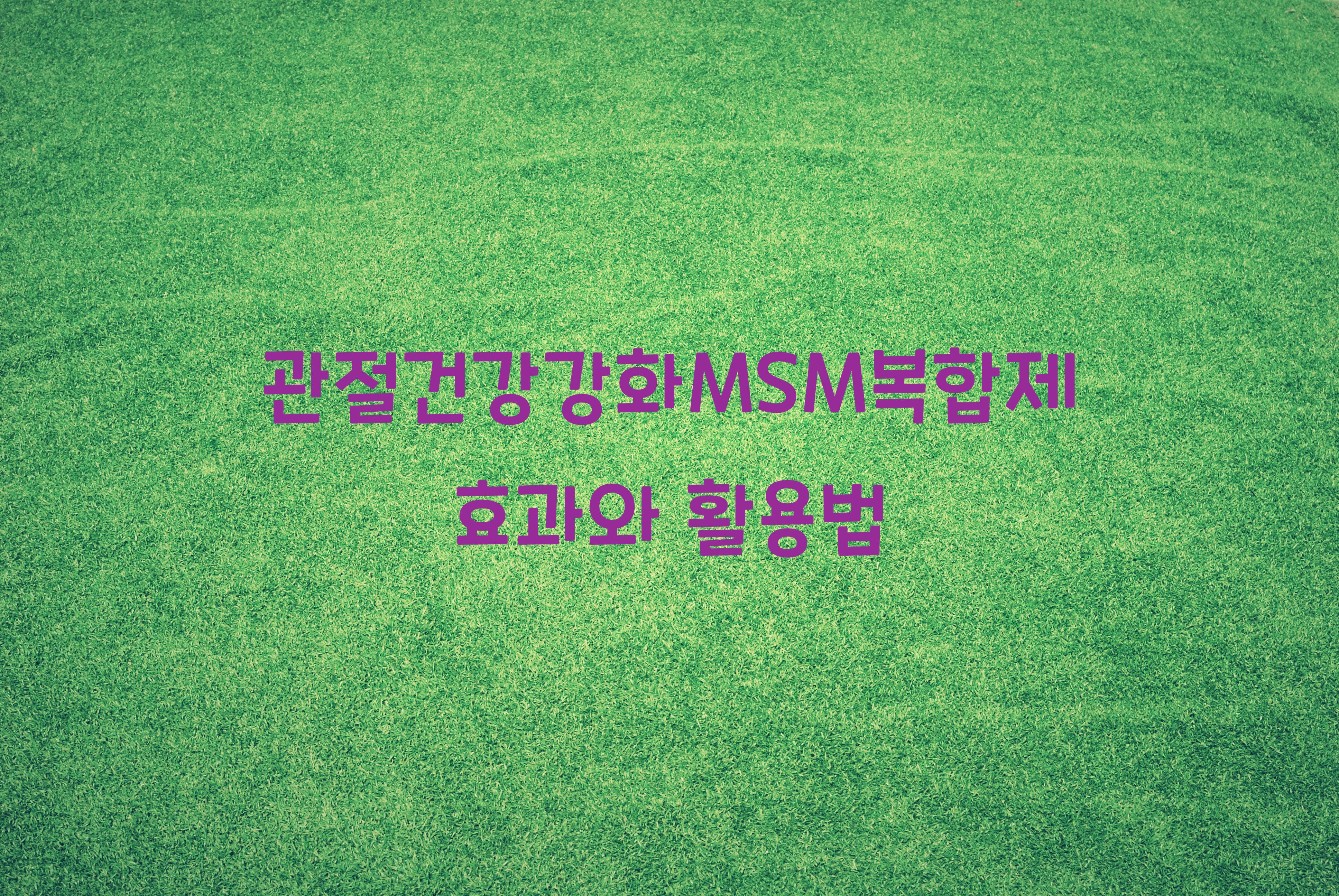 관절건강강화MSM복합제