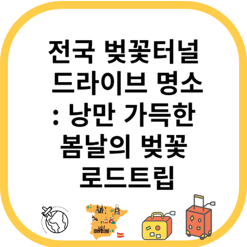 전국 벚꽃터널 드라이브 명소: 낭만 가득한 봄날의 벚꽃 로드트립