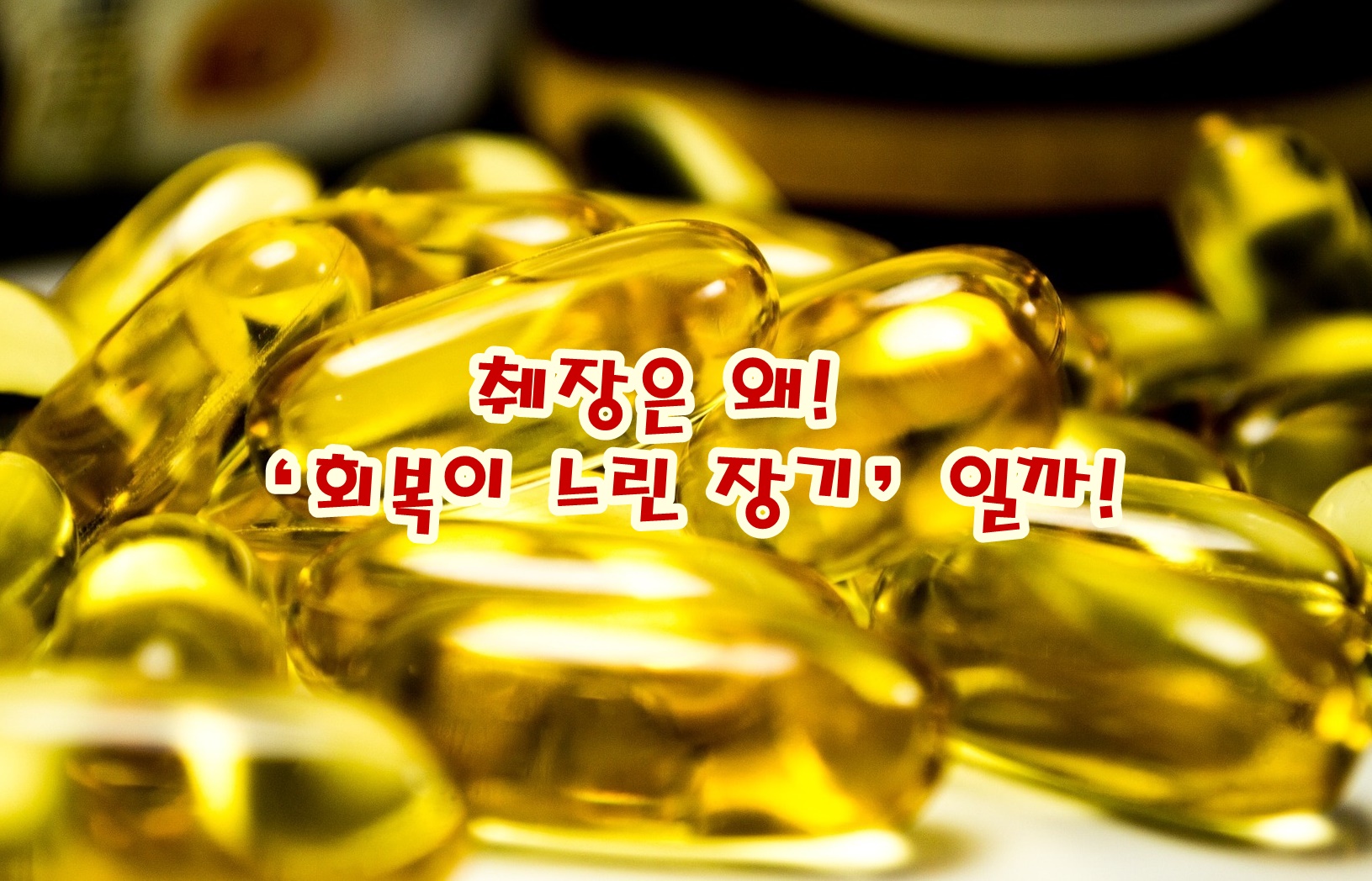 췌장은 왜 ‘회복이 느린 장기’일까!