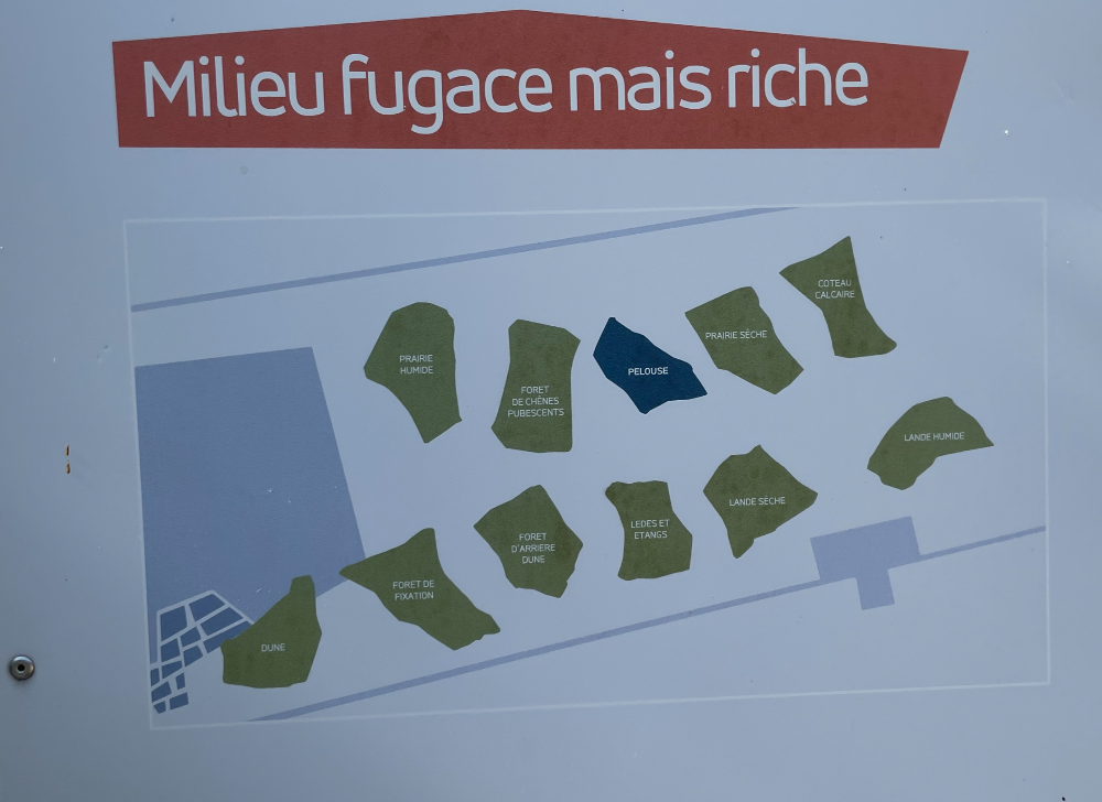 보르도 식물원 - 3. Pelouse (잔디밭)