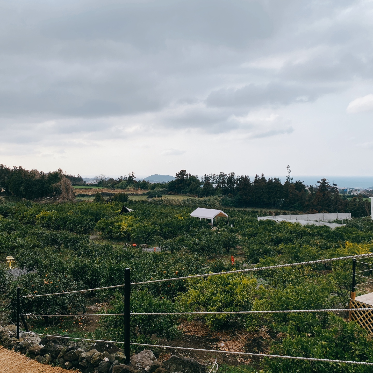제주 애월 환혼 무수천계곡 트리하우스 웃뜨리 카페
