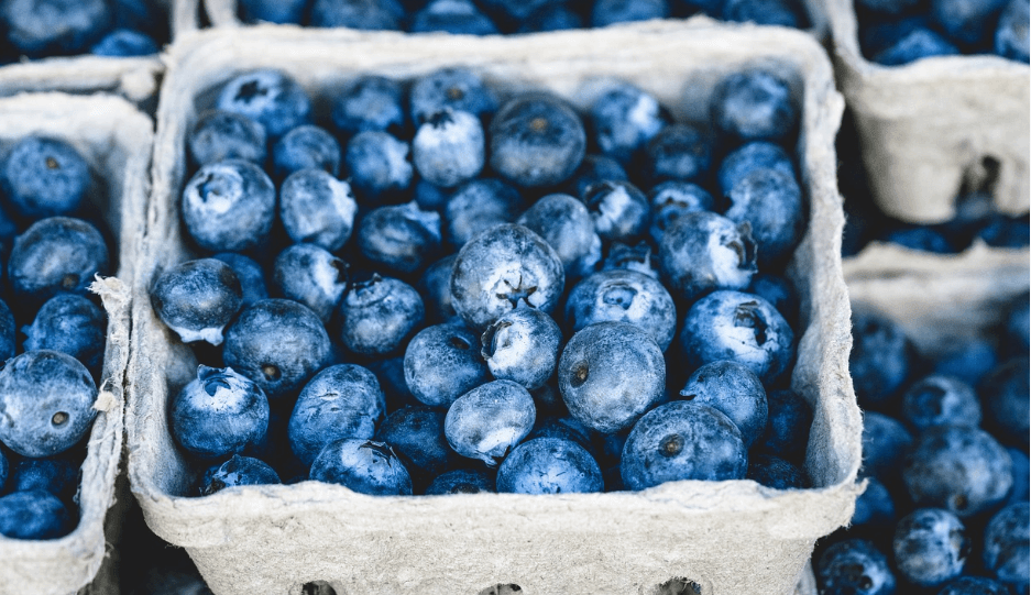 눈에 좋은 음식 사진 - 6