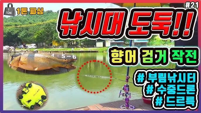 낚시 대상어 붕어 잉어 향어 입질 시간과 채비 팁_3
