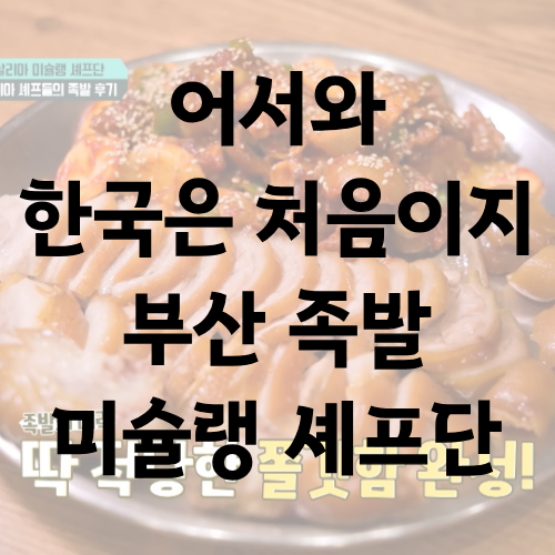 어서와 한국은 처음이지 부산 족발 이탈리아 미슐랭 셰프단