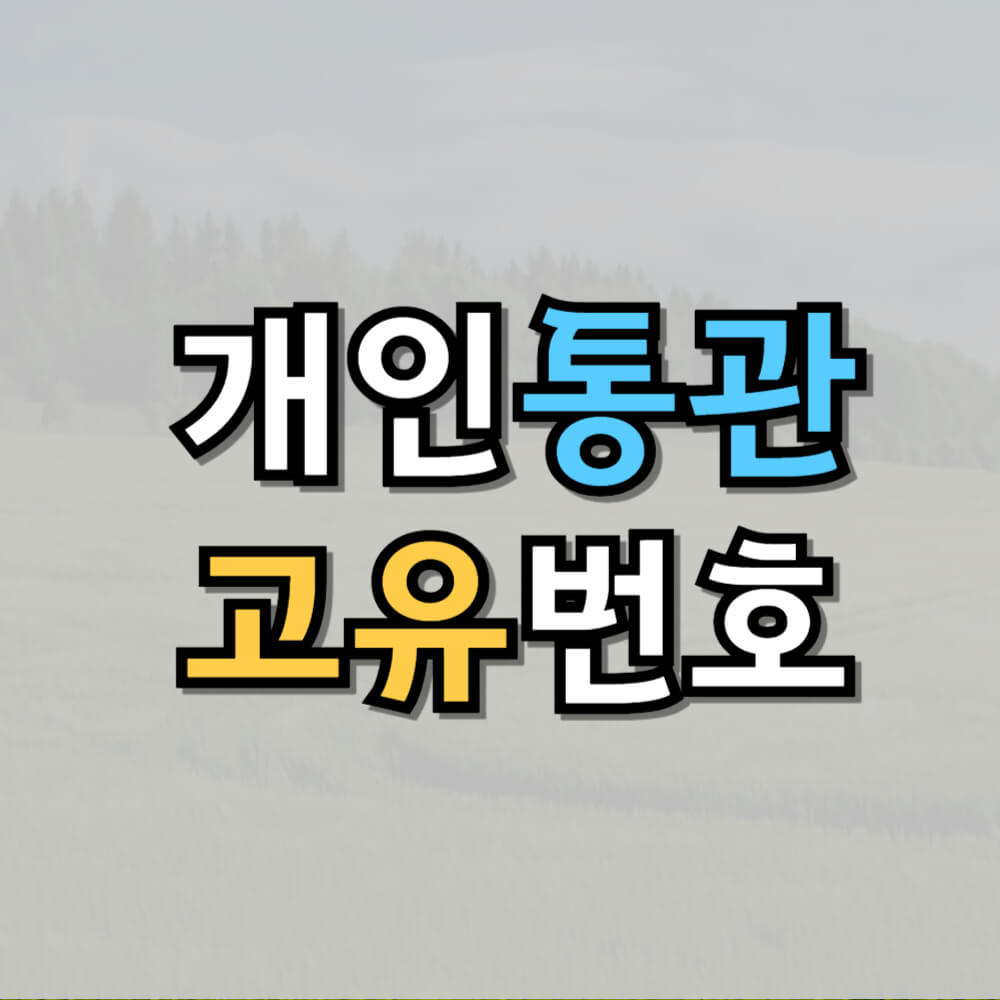 개인통관고유번호