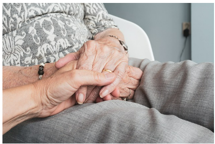 노인일자리 여기 홈페이지 바로가기 www.seniorro.or.kr