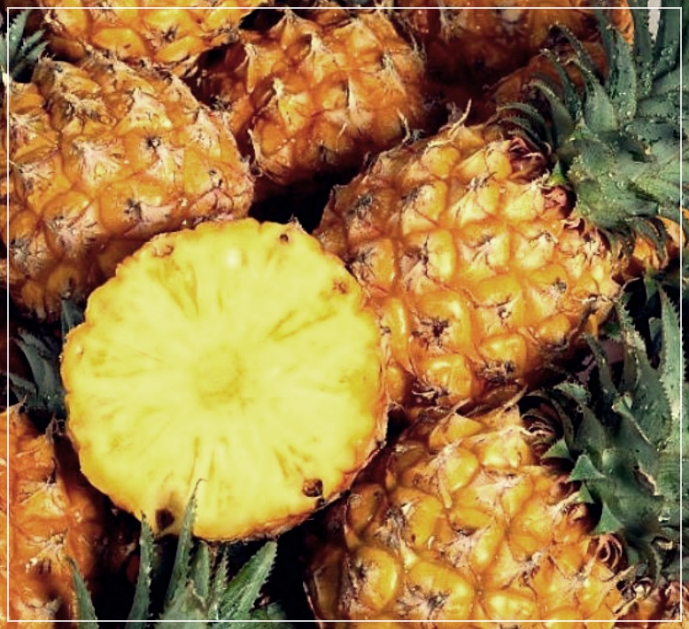 파인애플 식초 효능 먹는법 만드는방법 주의사항을 알자!