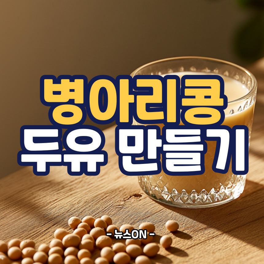 병아리콩 두유 만드는 법