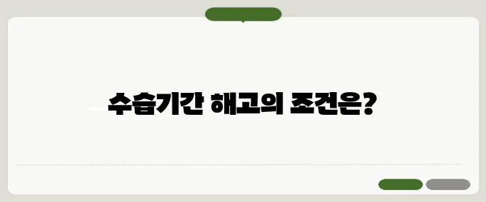 수습기간 해고 진짜 가능한가요?
