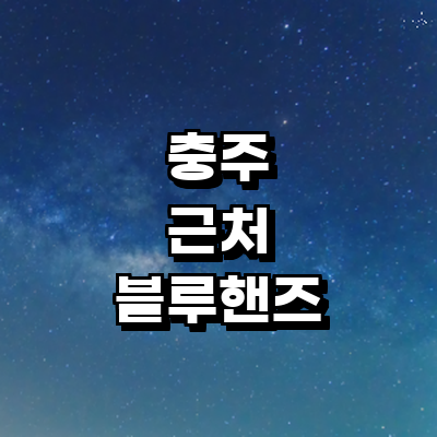 충주시 블루핸즈