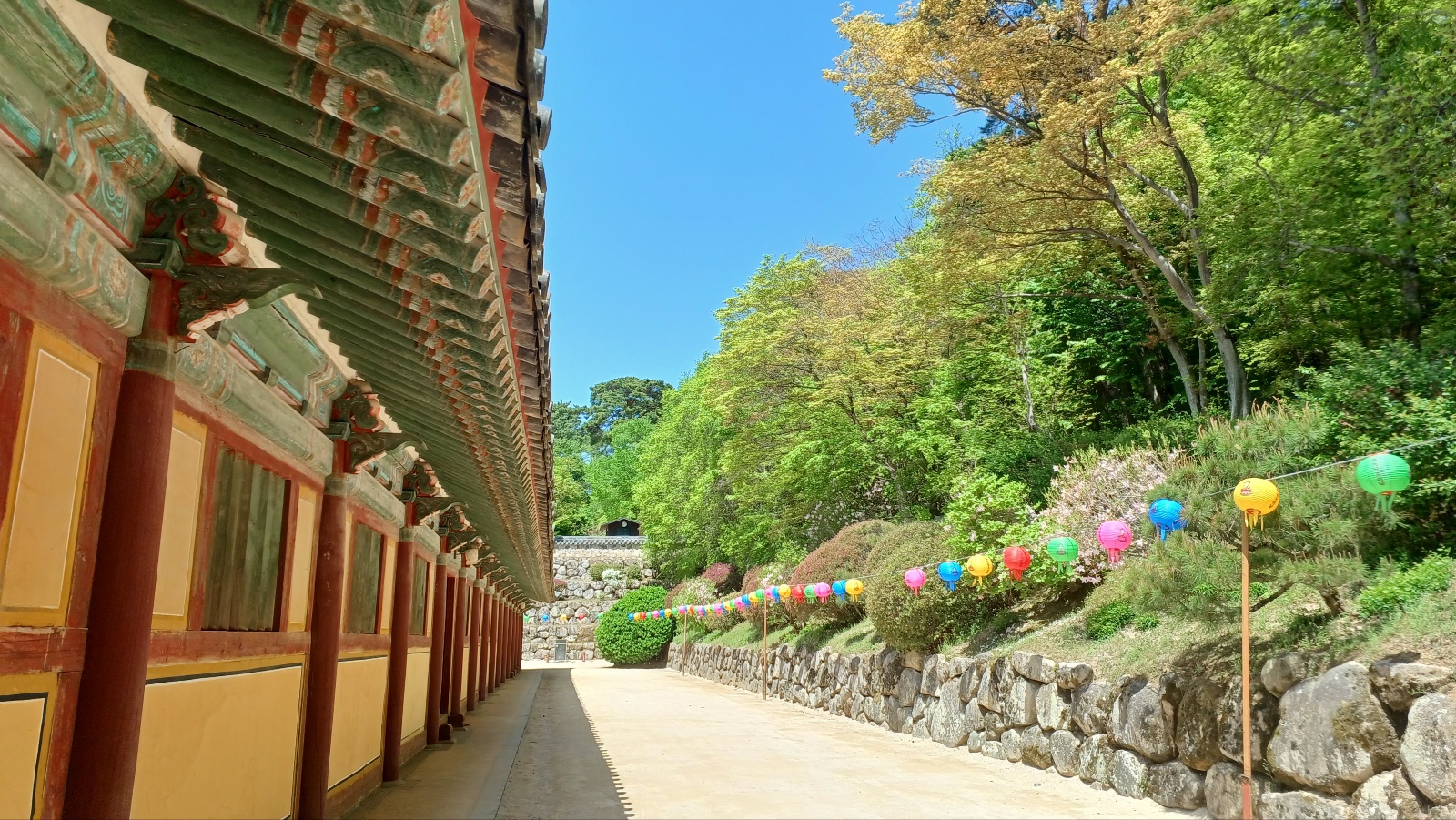 경주 불국사17