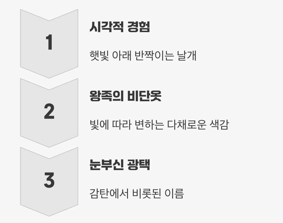 만져볼 수 없는 비단