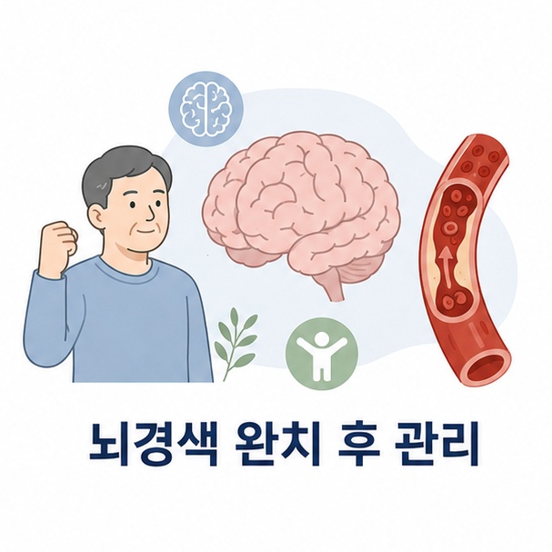 뇌와 혈관, 회복 중인 사람으로 표현한 뇌경색 완치 후 관리 안내 이미지
