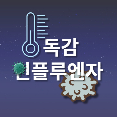 인플루엔자 설명글의 썸네일입니다.